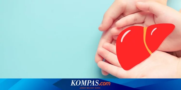 Kasus Diduga Hepatitis Akut Dilaporkan Bertambah di Indonesia Halaman all