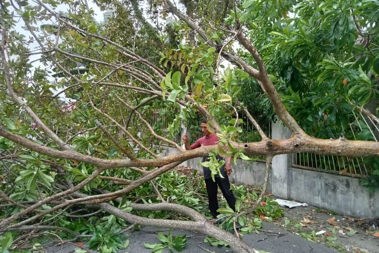 26 Titik Kejadian Tercatat Pada Peristiwa Angin Kencang di Kota Padang, Rabu 12 Mei 2022 Kemarin