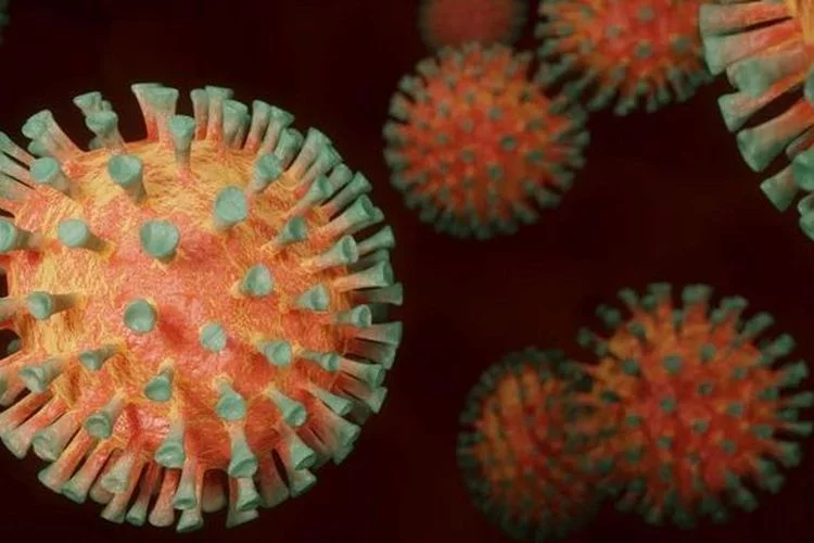 Temuan Awal Penyebab Hepatitis Misterius Diungkap Peneliti FKUI, Ternyata Bukan karena Adenovirus - Pikiran-Rakyat.com
