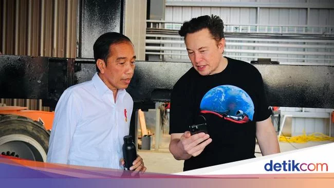 Indonesia Berpeluang Dapat Tesla dan SpaceX Sekaligus