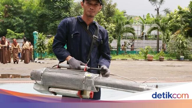 DBD di Kabupaten Pasuruan Capai 238 Kasus, 4 Pasien Meninggal