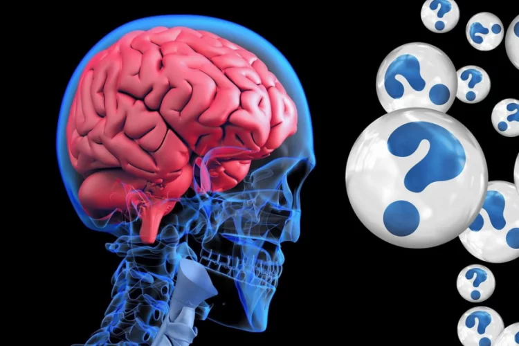 Ilmuwan Mengidentifikasi Cara Otak Menghubungkan Ingatan