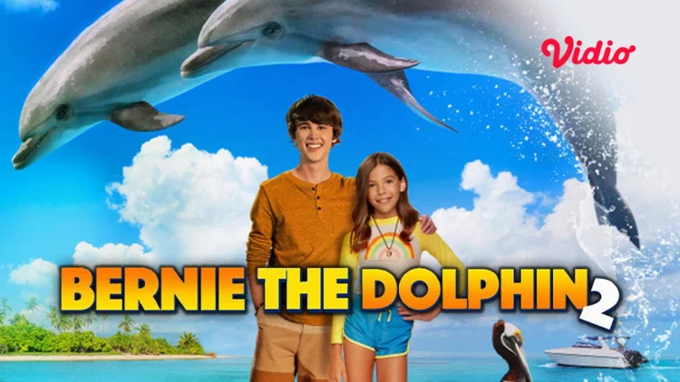 Sinopsis Bernie The Dolphin 2, Upaya Penyelamatan Kedua Bernie