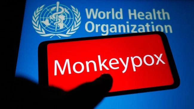 Cek Kabar Terbaru dari WHO Soal Cacar Monyet