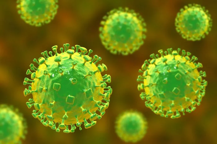 Fakta-fakta Sejarah Virus Hendra yang Katanya Bisa Jadi Pandemi Selanjutnya