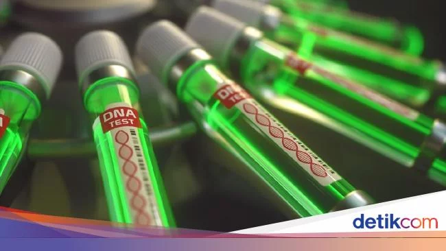 Cacar Monyet Tembus 1.000 Kasus, Ini 4 Negara dengan Kasus Terbanyak