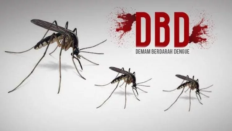 Kasus DBD di Bekasi Sepanjang 2022 Mencapai 1.416 Orang