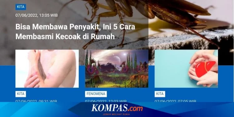 [POPULER SAINS] Cara Membasmi Kecoak | 2 Strain Cacar Monyet Ditemukan | Kemungkinan Alien Nongkrong di Katai Putih