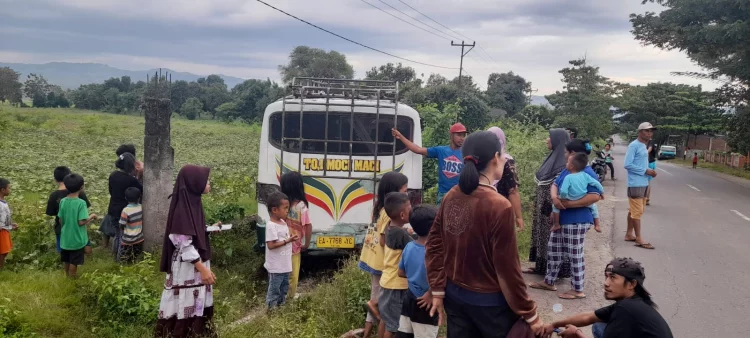 Peristiwa Naas Kembali Terjadi Di Jalan Raya Satu Yunit Bus Terjun Ke Lahan Pertanian Warga
