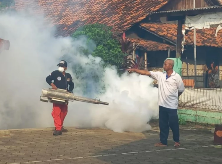 Kasus DBD di Kabupaten Batang Meningkat