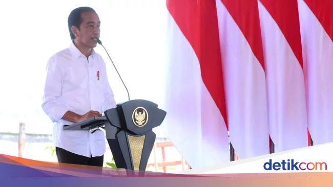 Jokowi Sebut 22 Negara Setop Ekspor Pangan