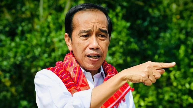 PP Baru, Jokowi Wajibkan Komisaris Tanggung Jawab Jika BUMN Rugi