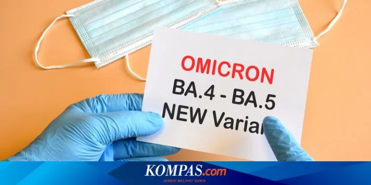 Pakar UGM: Ini Gejala dan Pencegahan Omicron Varian BA4 dan BA5