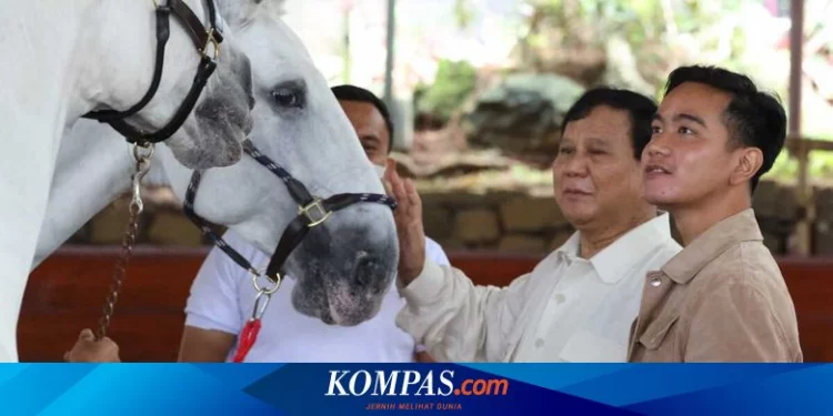 Kala Gibran Disarankan Maju Gubernur oleh Prabowo... Halaman all
