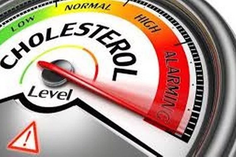 Obat Kolesterol Alami, Kolesterol Tinggi Turun Cepat Tanpa Obat