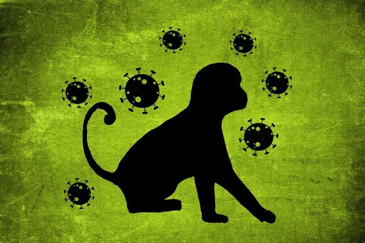 Gejala dan Cara Mengatasi Penyakit Cacar Monyet