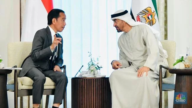 Jokowi Temui Presiden MBZ dari UEA, Apa Hasilnya?