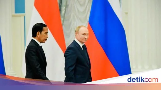 Ini Daftar Jasa Rusia yang Disinggung Putin Saat Bertemu Jokowi