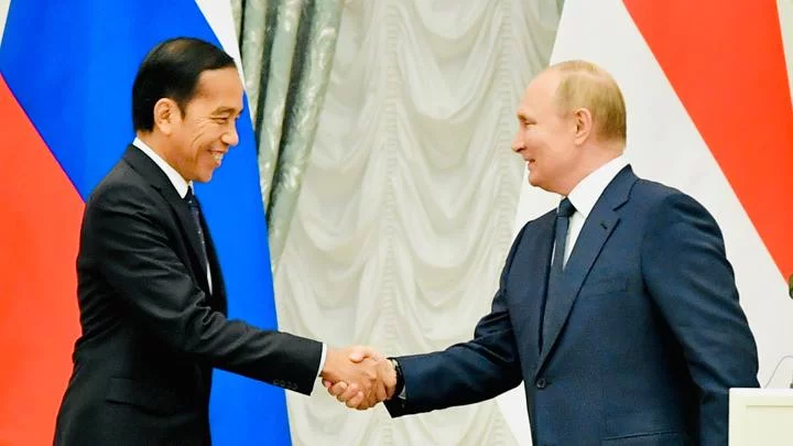 Pertemuan Presiden Jokowi dan Vladimir Putin Dinilai Condong Bahas Investasi Ketimbang Soal Perdamaian