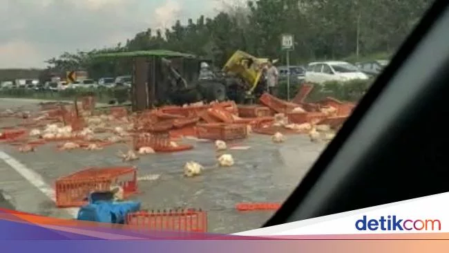 Fakta-fakta Kecelakaan Bus vs Truk Ayam di Tol Cipali Tewaskan 2 Orang