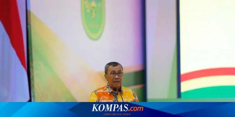 Penerbangan Internasional Dibuka, Gubernur Riau: Sudah Lama Dinanti Investor