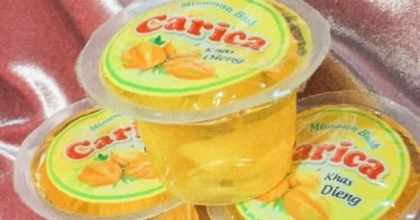 Carica adalah Makanan Khas dari Daerah Wonosobo yang Kaya Manfaat