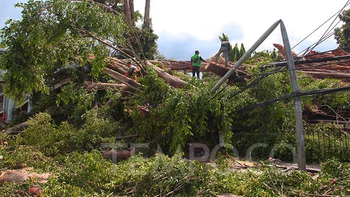 Pengendara Motor Nahas, Tertimpa Tiang Listrik Saat Hujan Deras