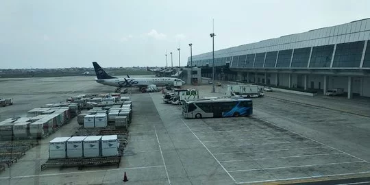 Kemenhub: 16 Bandara Kini Buka Rute Penerbangan Internasional, 5 Khusus untuk Haji