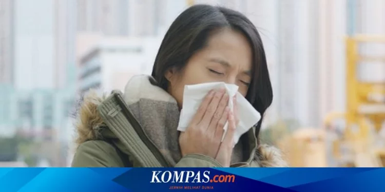 Sering Dianggap Sama, Ini Perbedaan Pilek Flu dan Pilek Alergi Menurut Dokter Halaman all
