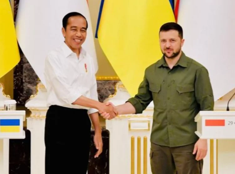 Ukraina dan Rusia Berunding di Turki, Guru Besar UI Sebut Berkat Pak Jokowi