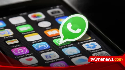WhatsApp, Instagram, Google Bakal Diblokir 5 Hari, Ini Penjelasan Kominfo