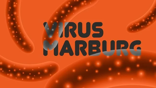 Kasus Pertama Virus Marburg Ghana, 2 Orang Meninggal