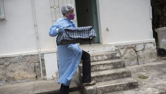 WHO Konfirmasi Wabah Virus Baru Marburg, 2 Orang Meninggal