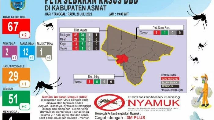 KLB Demam Berdarah di Asmat Tercatat 67 Kasus, Dinkes Papua: Satu Meninggal Dunia - Tribun-papua.com