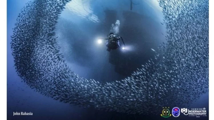 Fotografer Rekam Peristiwa Menakjubkan di Bawah Laut Sangihe Sulawesi Utara