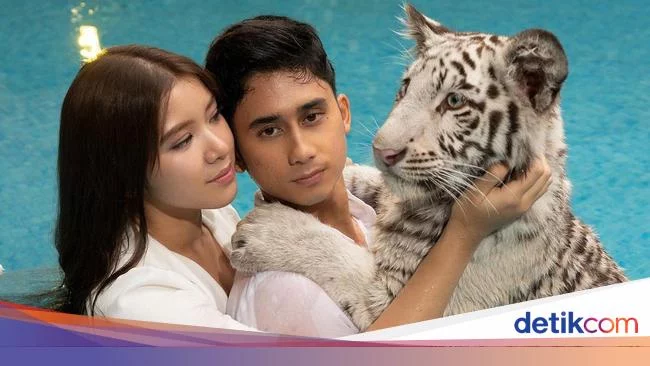 Foto Tiara Andini dan Harimau Milik Alshad Ahmad yang Bikin Fans Kecewa