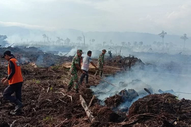 Sekitar 3 Hektar Lahan Terbakar dalam Peristiwa Karhutla di Kabupaten Aceh Selatan