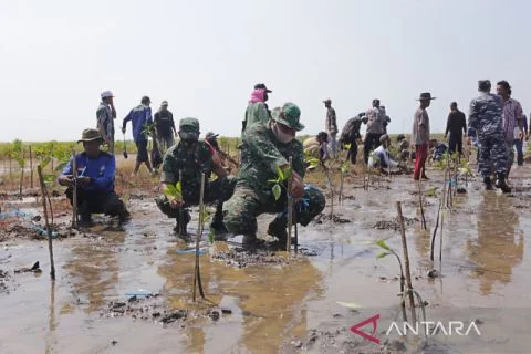 Peringatan Hari Mangrove Internasional - ANTARA News Jawa Barat