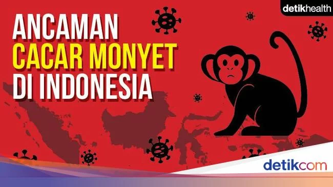 Cacar Monyet di Indonesia: Hasil Tes 9 Suspek hingga Pendekatan Kelompok Gay