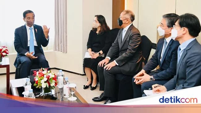Momen Bos Hyundai Sambangi Jokowi, Mau Ikut Garap IKN