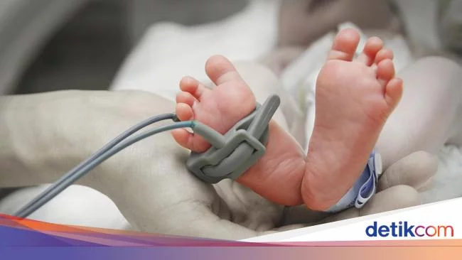 Bayi Meninggal Usai Diajak Naik Motor Tegal-Surabaya, Dokter Ungkap Risikonya
