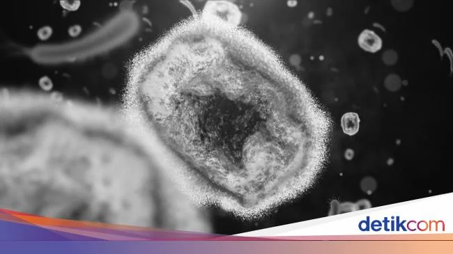 RI Belum Temukan Kasus Cacar Monyet, Menkes Sebut Kemungkinan Penyebabnya