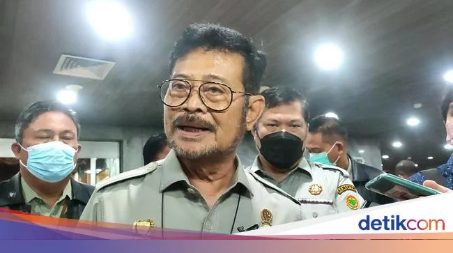 Mentan: Gandum Mahal Banget, Kita Makan Singkong Saja