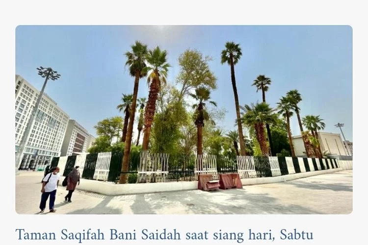 Mengunjungi Taman Saqifah Bani Saidah di Madinah, Peristiwa Dahsyat Terjadi di Taman Ini