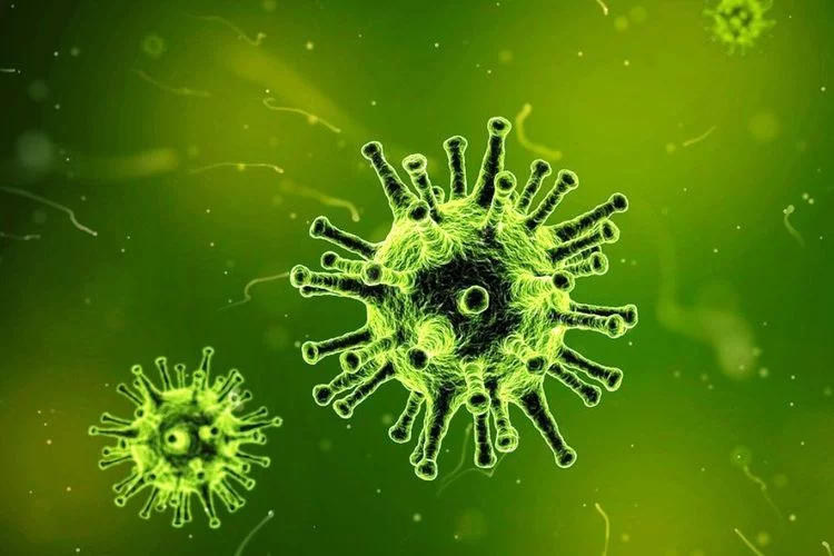 Virus Baru, Zoonosis Langya Ditemukan di China: Berikut Penyebab, Gejala dan Cara Penangananya