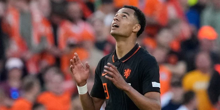 Ultimatum PSV untuk MU: Transfer Cody Gakpo Gak Boleh Mepet!