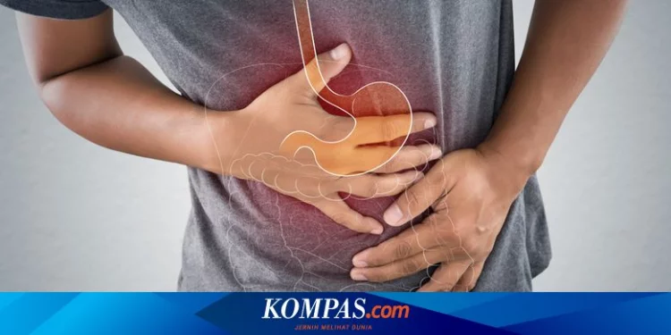 Fungsi Asam Lambung untuk Kesehatan Kita Halaman all