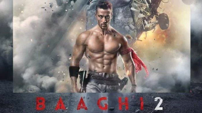 Sinopsis Film Baaghi 2, Cerita tentang Dendam dan Cinta, Simak Daftar Pemain dan Trailernya