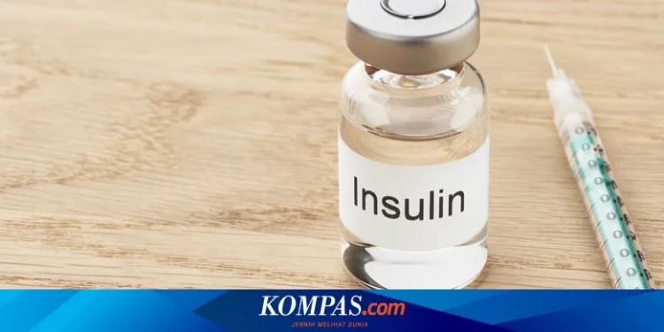 Apakah Insulin Menghambat Autofagi?