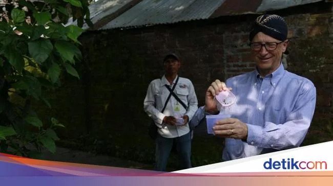 Cerita Bill Gates ke Yogyakarta Melepas Nyamuk Demam Berdarah